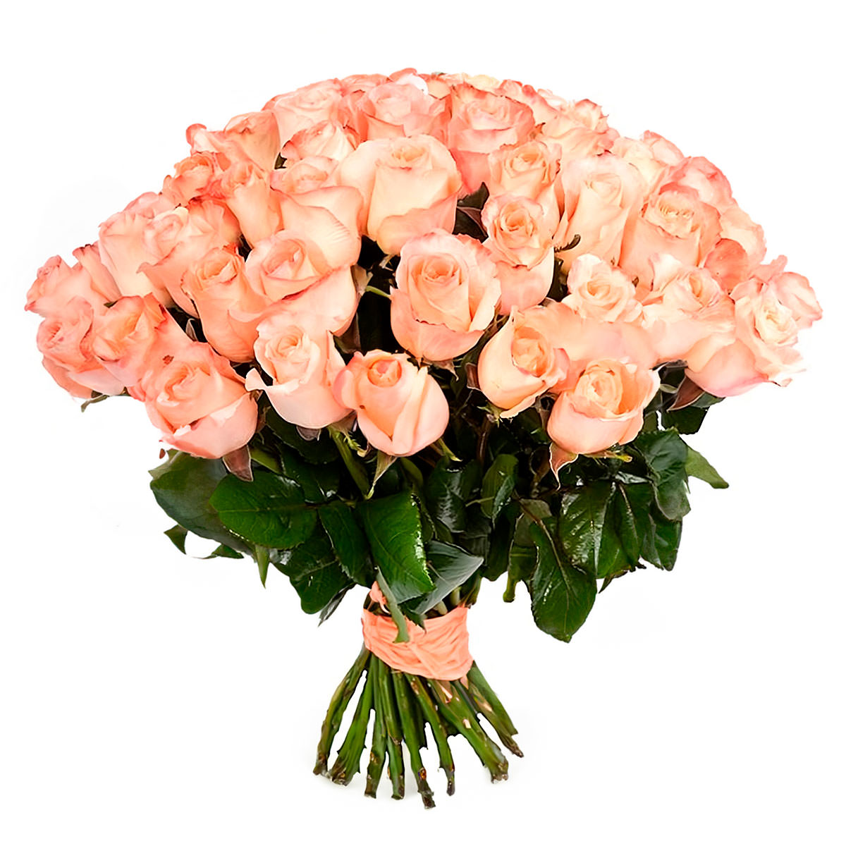 Букет роз недорого москва. Красивые большие букеты. Букет роз. Букет чайных роз.